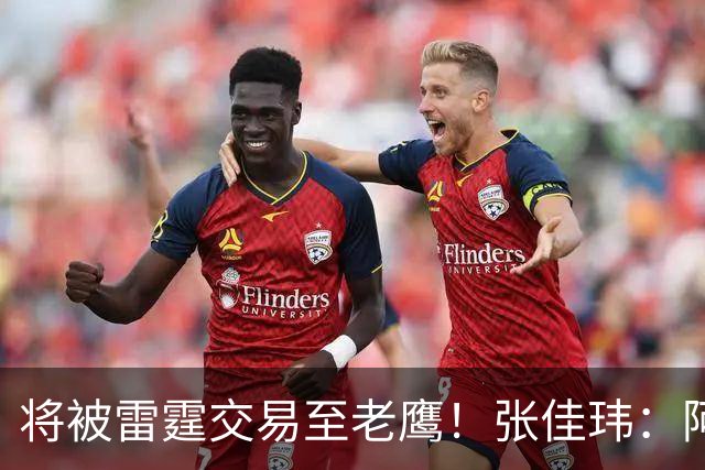 将被雷霆交易至老鹰！张佳玮：阿隆·维金斯样样都凑合 但缺特色